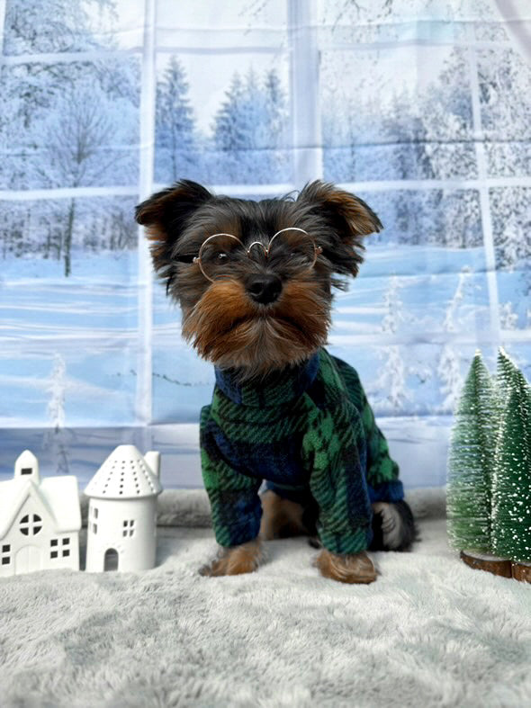 Yorkshire terrier wearing navy tartan checked dog fleece