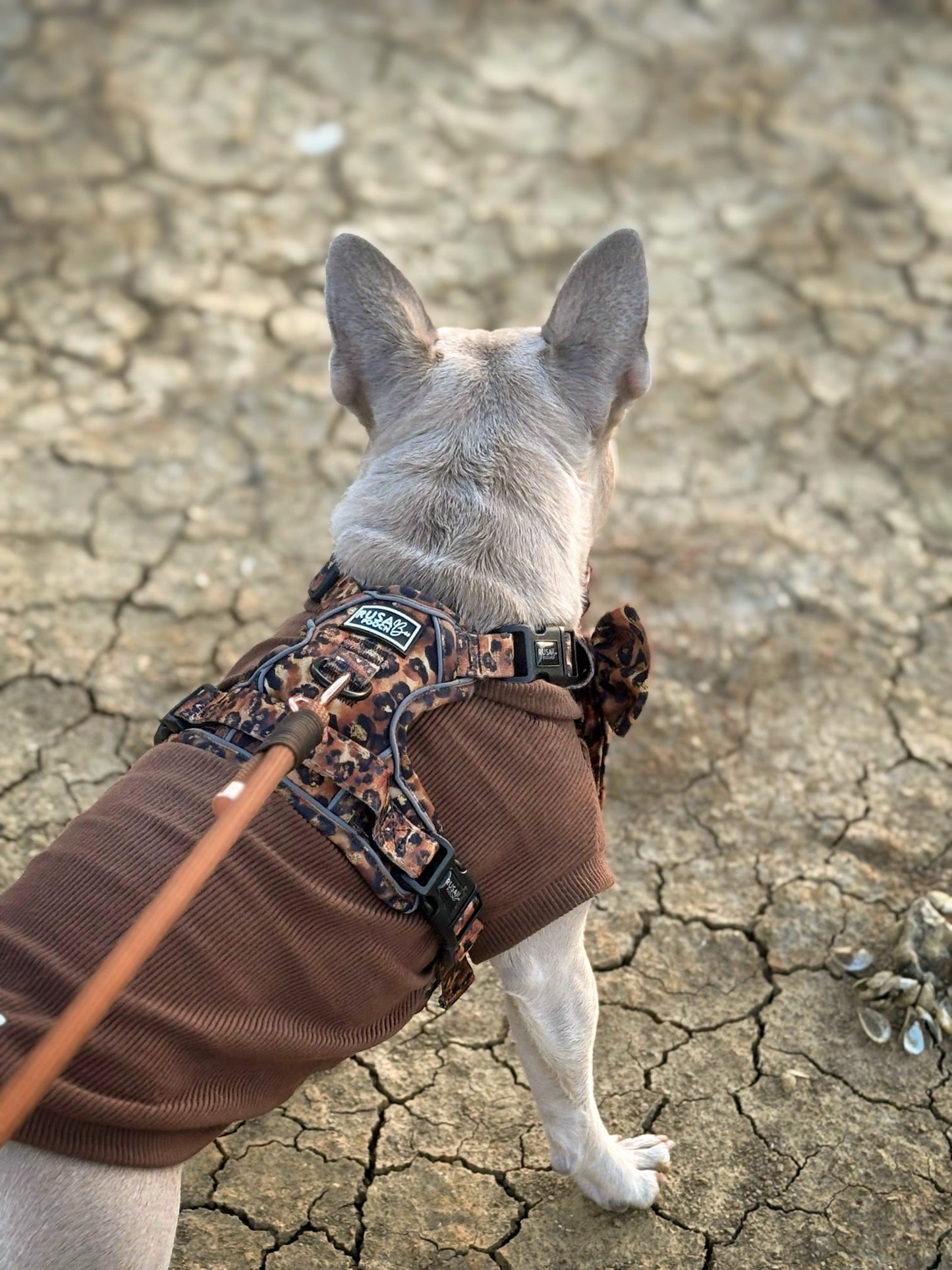 Custom Made | Lead | Rope - Savanna