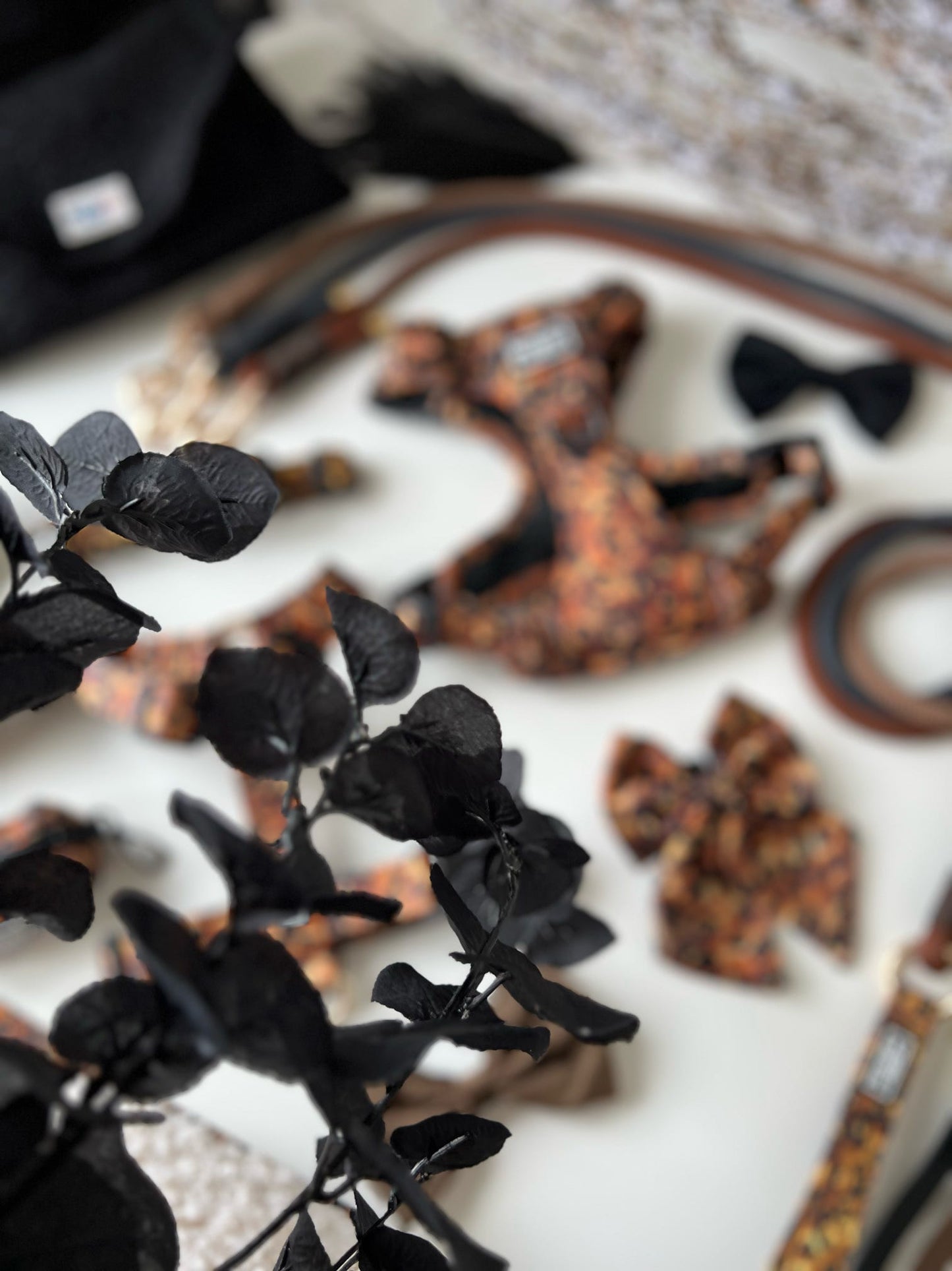 Ready To Ship | Adventure Approved Harness - Savanna
