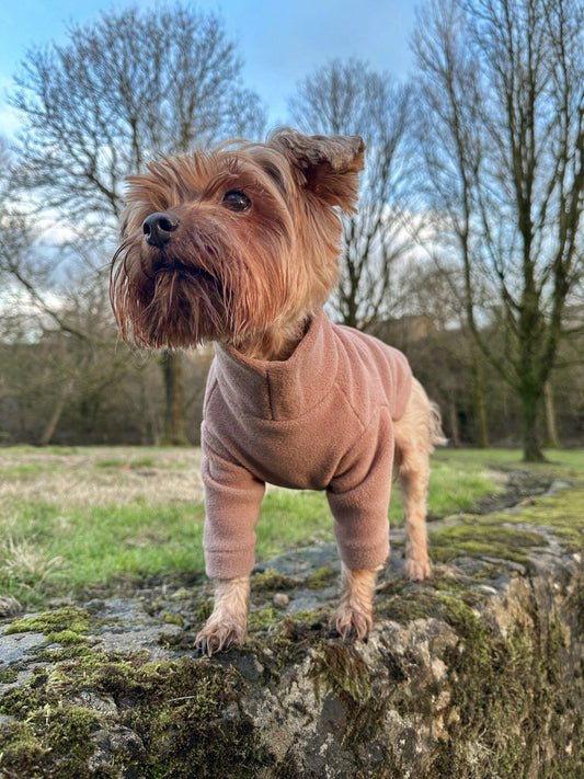 Yorkie in mocha polar fleece with arms