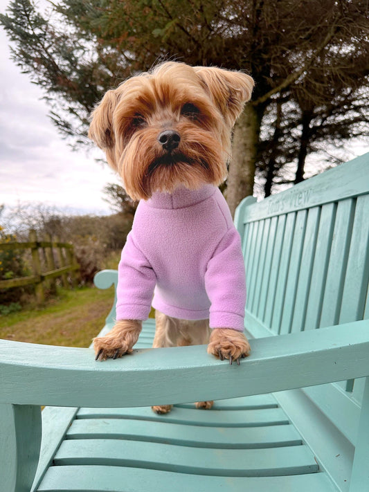 Yorkie wearing lilac fleece