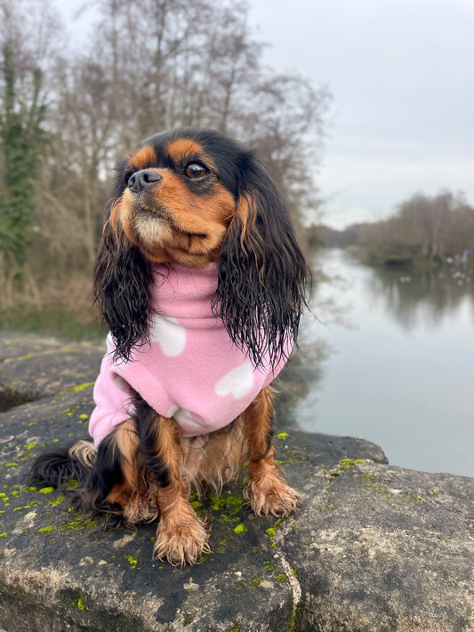 Cavalier wearing pink hearts sleeveless fleece