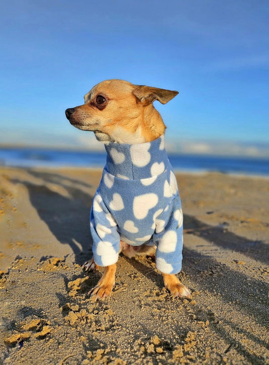 Chihuahua wearing baby blue heart print polar fleece