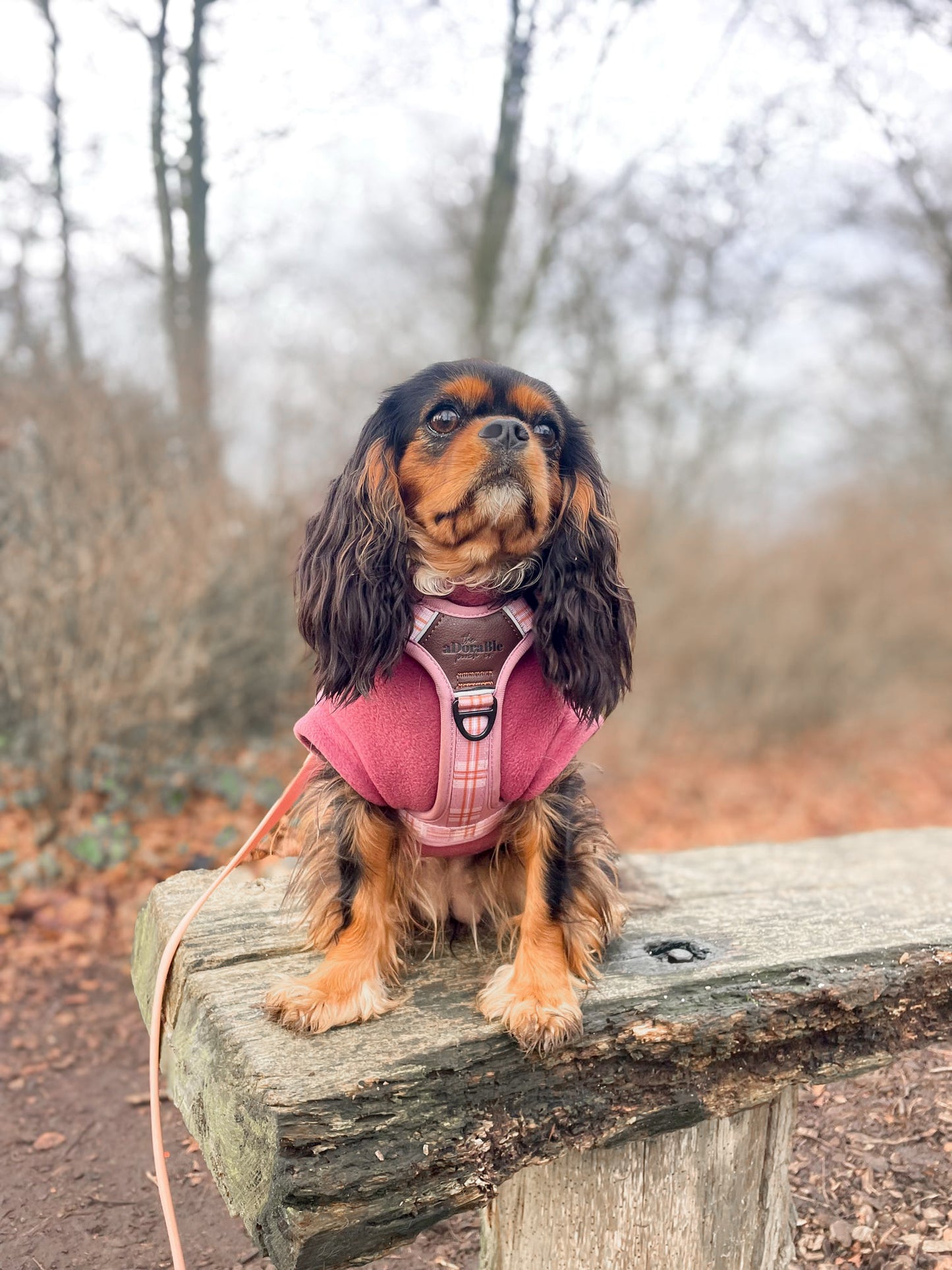 Cavalier wearing mauve dusky pink tankie polar fleece