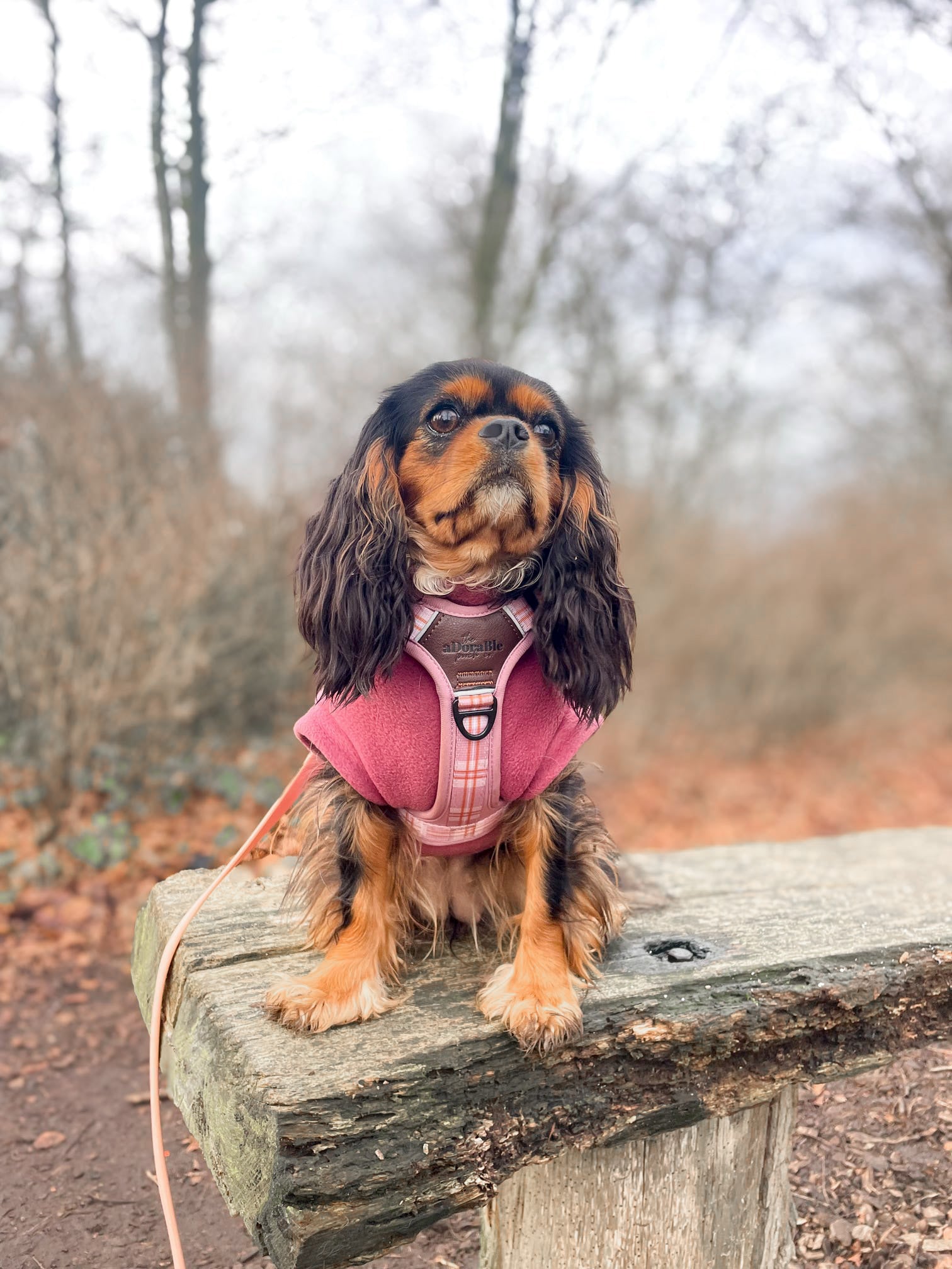 Cavalier wearing mauve dusky pink tankie polar fleece