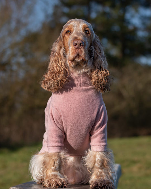 Cocker spaniel in peach two legged dog fleece