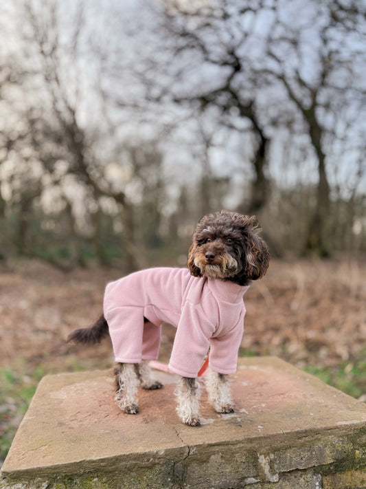 Mini doodle wearing a peach 4 leg fleece suit