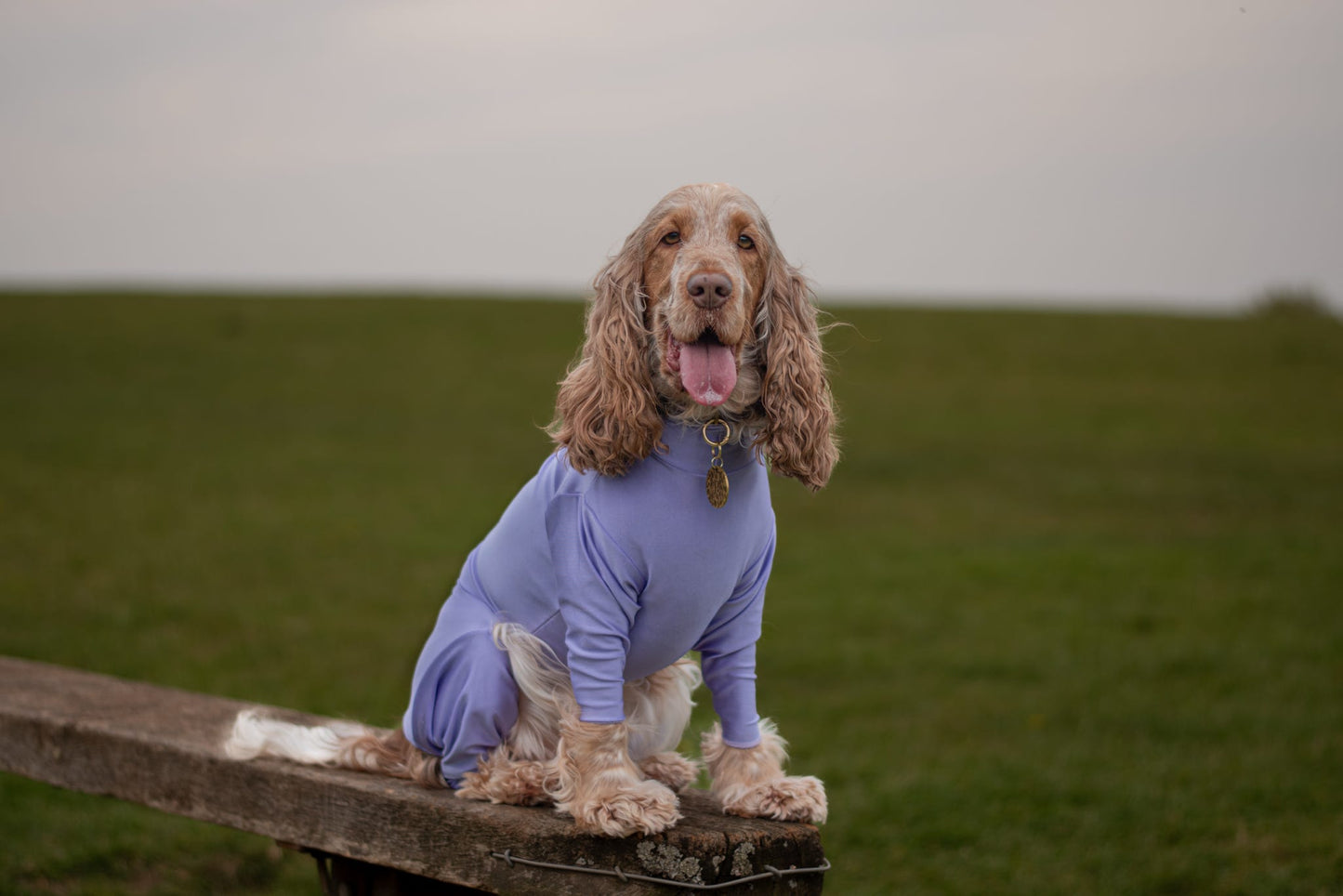 Protective Summer Suit - Lilac