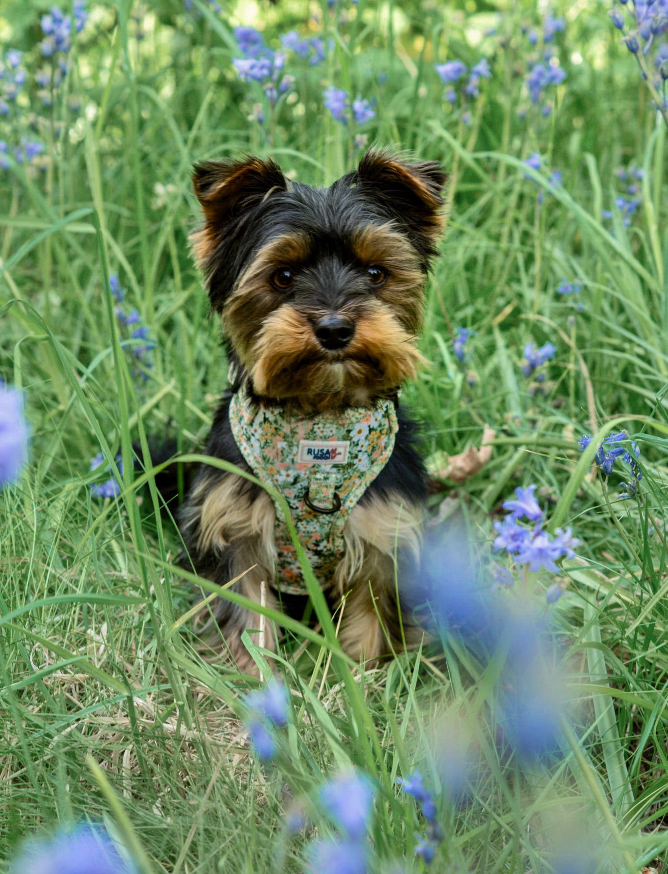 Premade | Adjustable Harness - The Secret Garden
