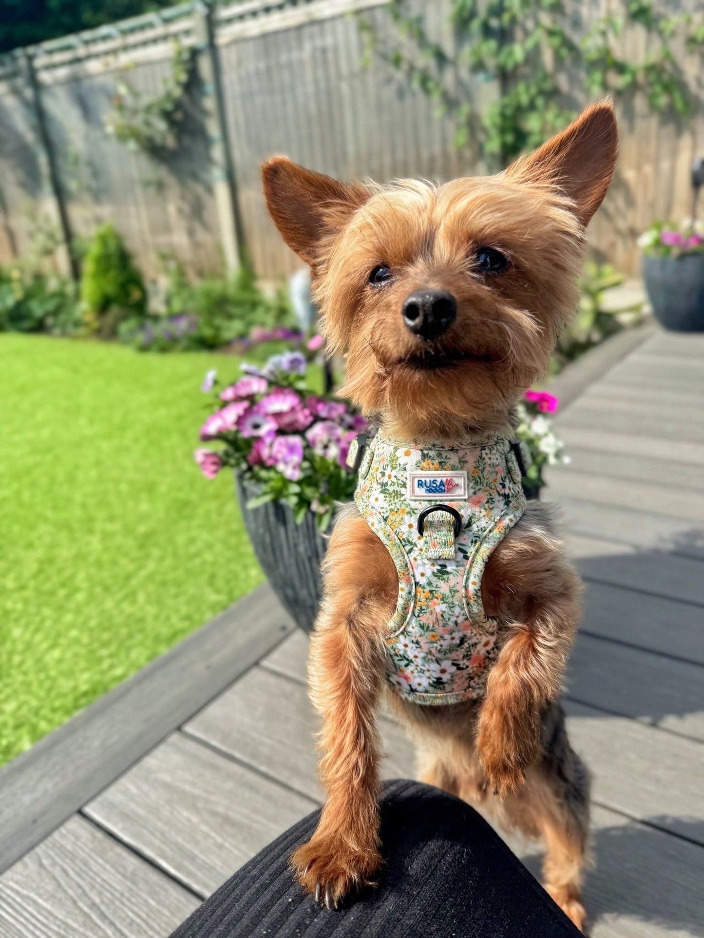 Premade | Adjustable Harness - The Secret Garden