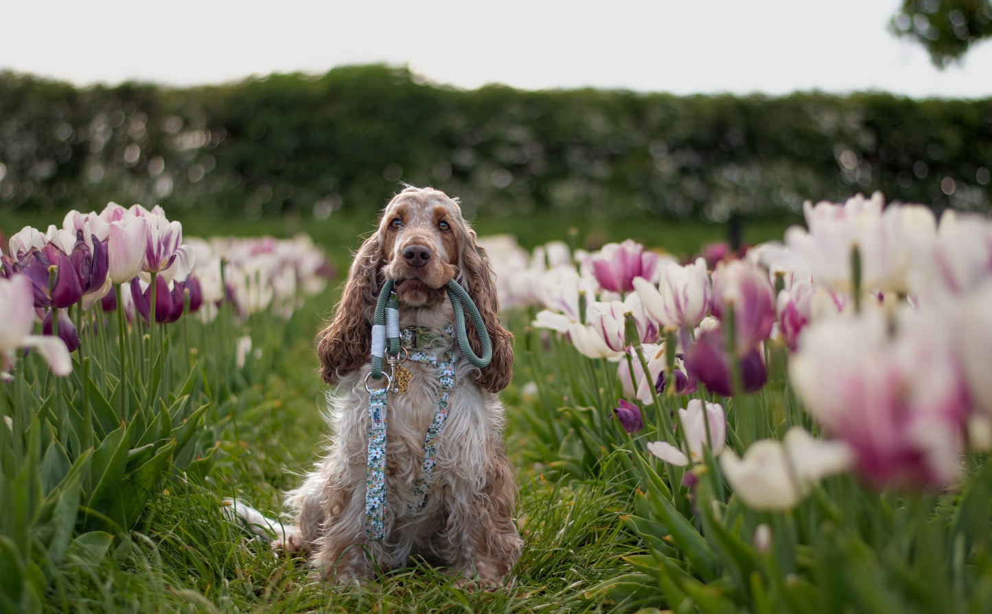 Custom Made | Lead | Rope - The Secret Garden