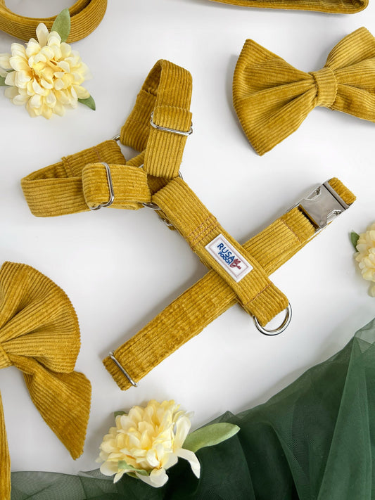 Close up of our mustard cordrouy dog harness in our strap style