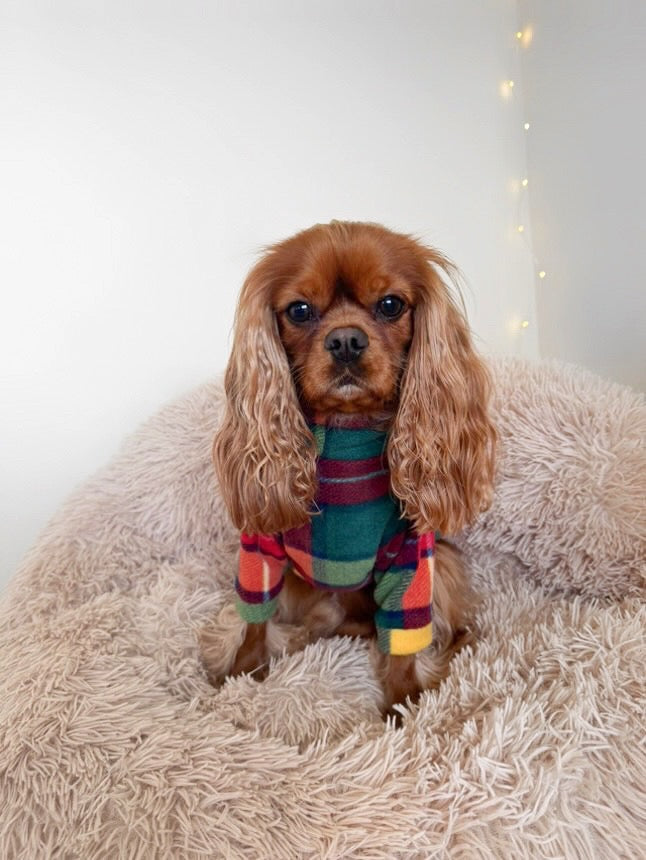 Cavalier in two legged rustic roots plaid fleece