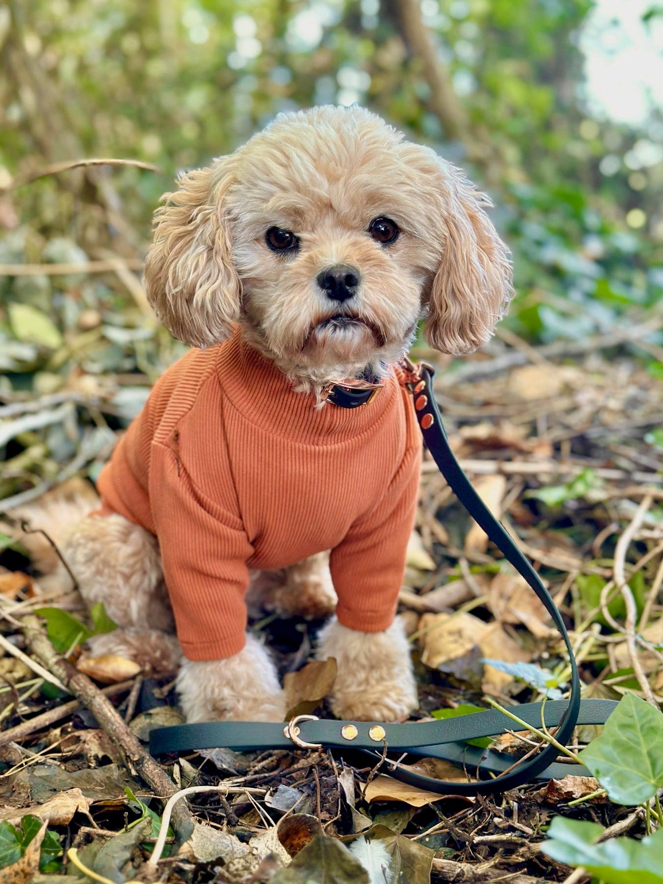 Custom Made | Jersey Rib | Two Legged - Auburn