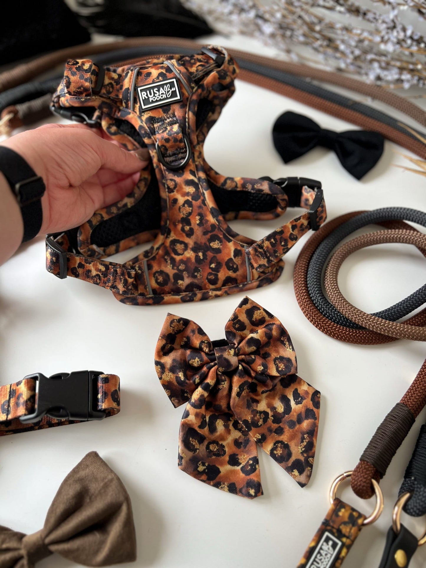 Ready To Ship | Bows - Savanna