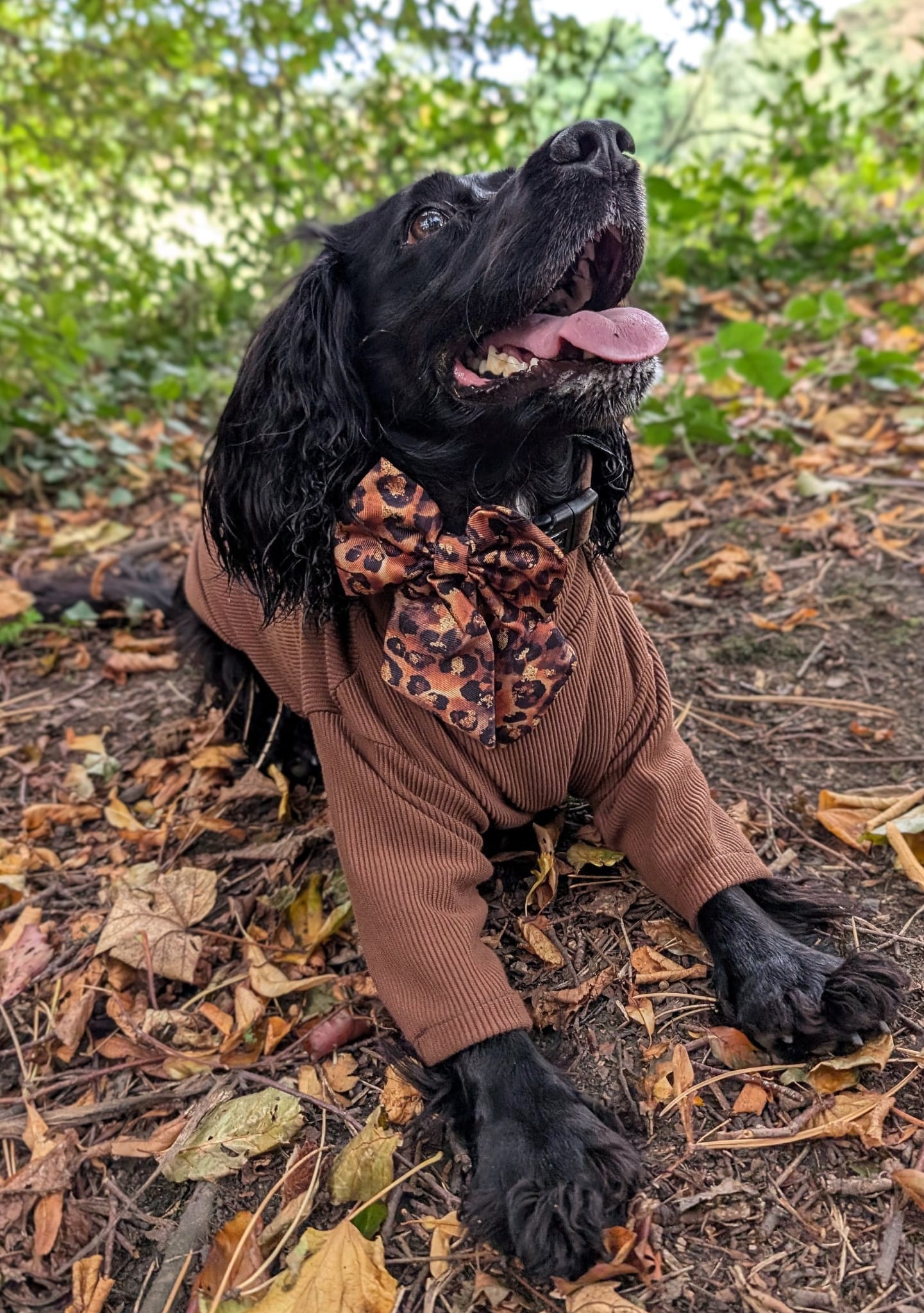 Custom Made | Jersey Rib | Two Legged - Cocoa