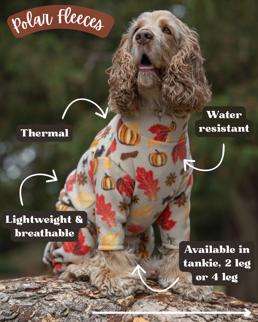 Custom Made | Polar Fleece | Two Legged - Autumn Pumpkin Print