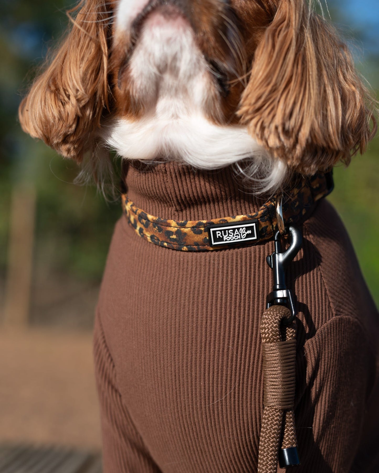 Custom Made | Collar | Fabric - Savanna