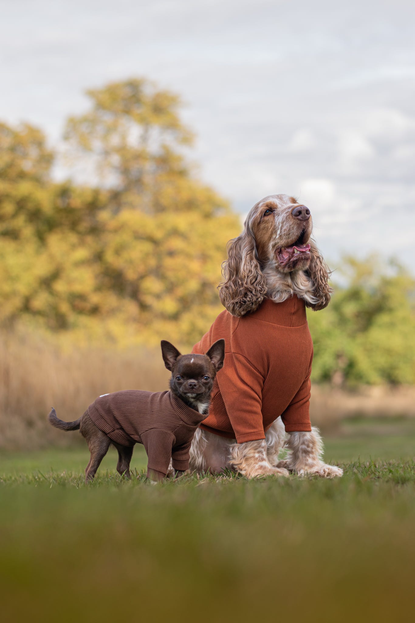 Custom Made | Jersey Rib | Two Legged - Auburn