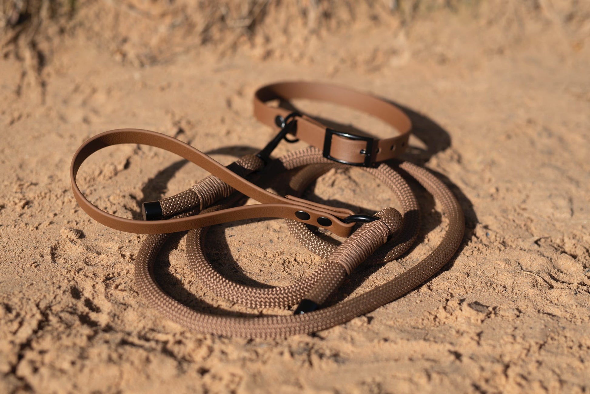 Brown leather dog leash and collar on a sandy surface