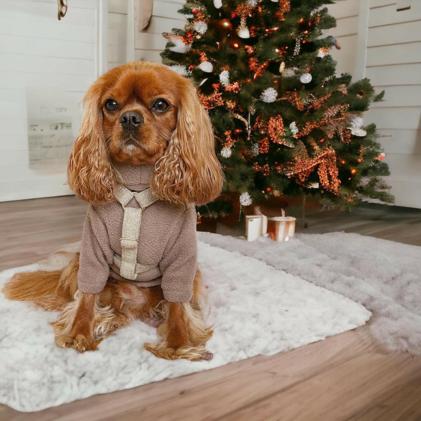 Cavalier wearing brown front arm fleece