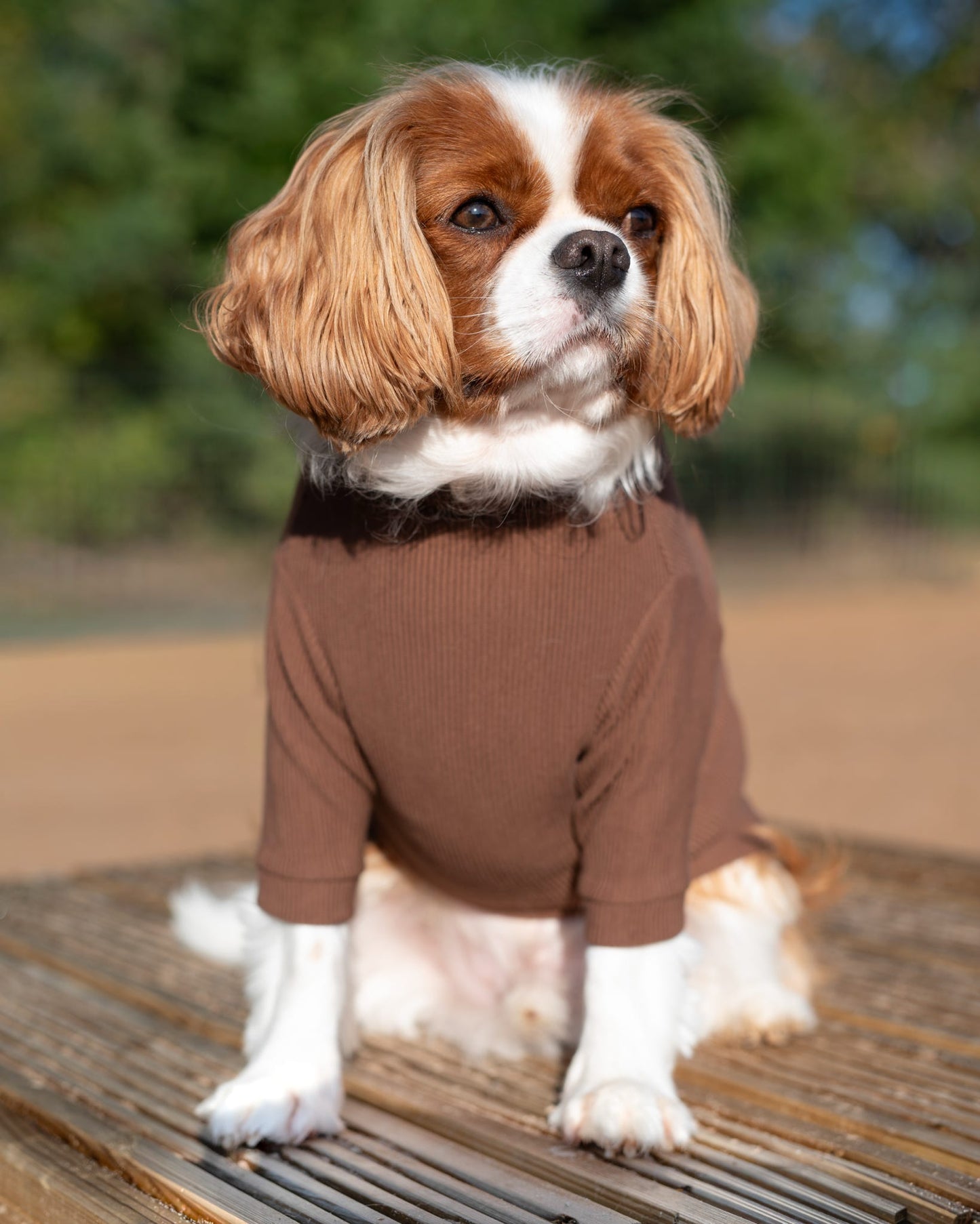 Custom Made | Jersey Rib | Two Legged - Cocoa