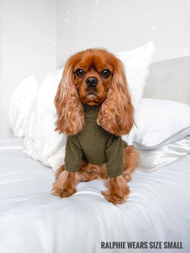 Cavalier wearing 2 legged dark green teddy borg fleece