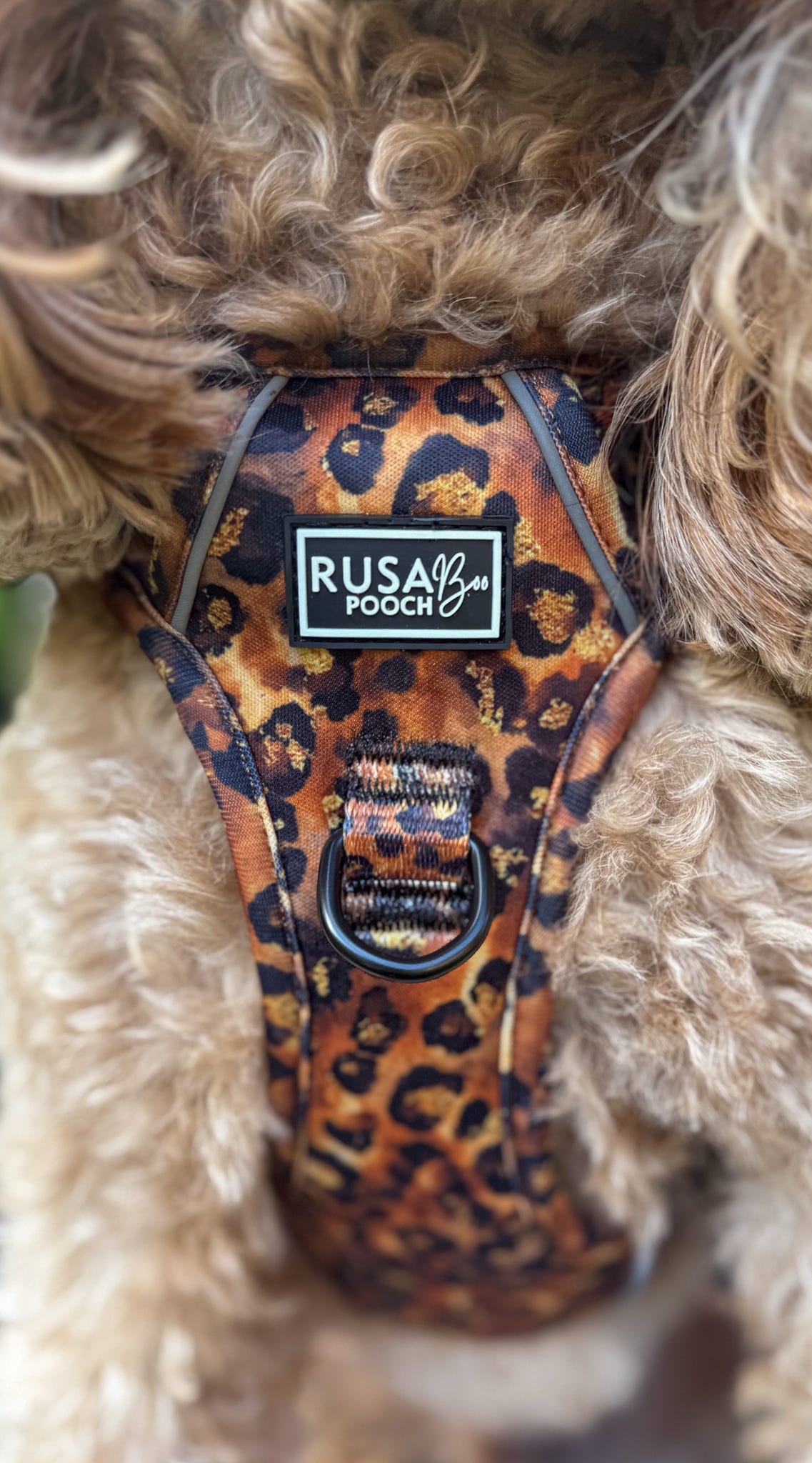 Ready To Ship | Adventure Approved Harness - Savanna
