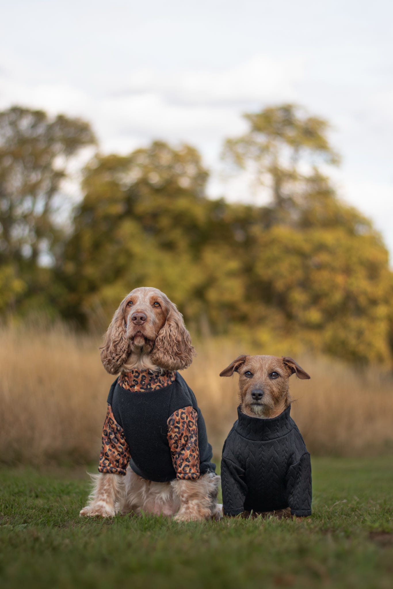 Custom Made | Cable Knit Jersey | Two Legged - Black