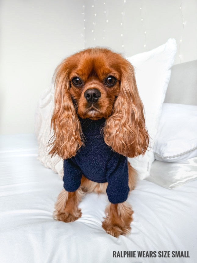 Cavalier wearing dark blue teddy borg fleece jumper