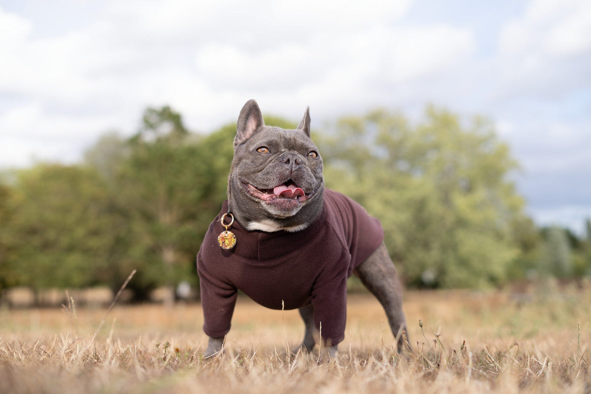 WHOLESALE | Polar Fleece - Two Legged