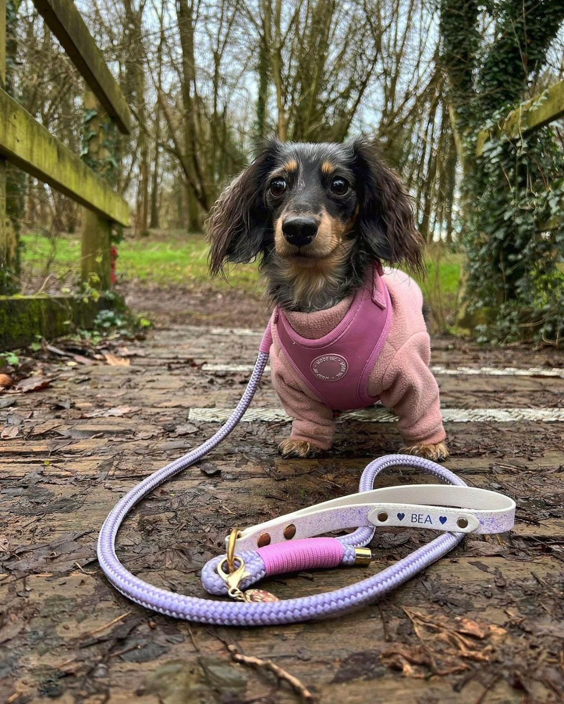 Sausage dog in 2 legged peach fleece