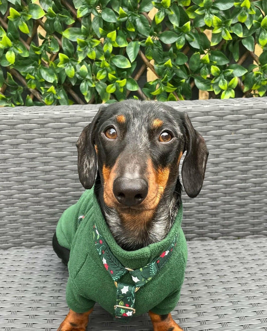 Sausage dog in mid green fleece