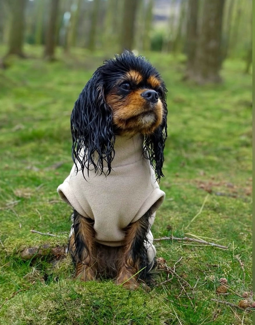 Cavalier wearing beige sleeveless waterpoof fleece