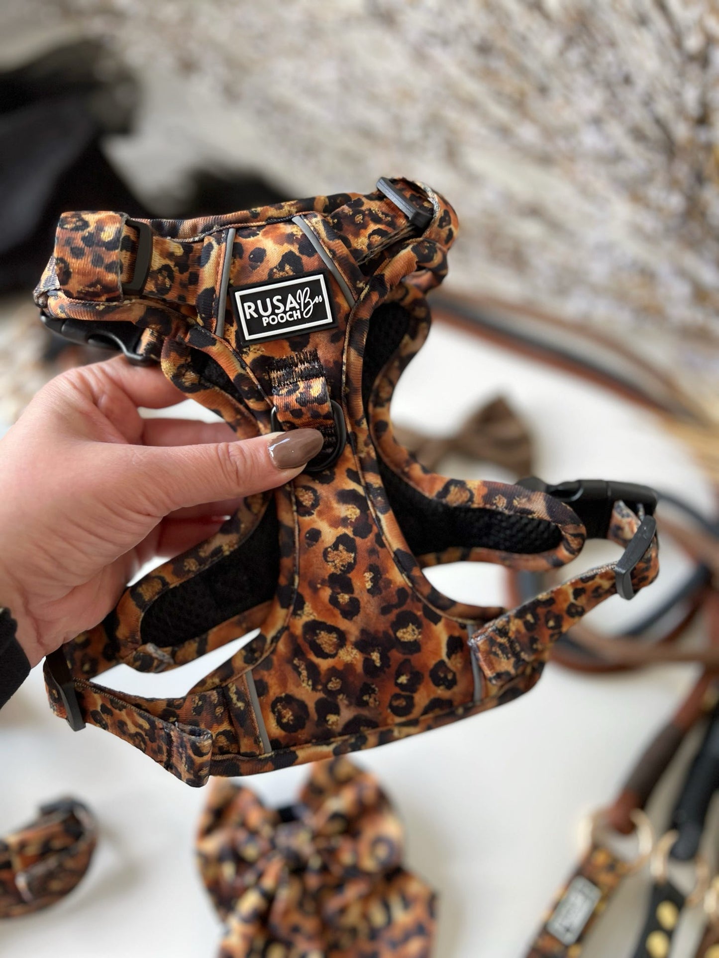 Ready To Ship | Adventure Approved Harness - Savanna