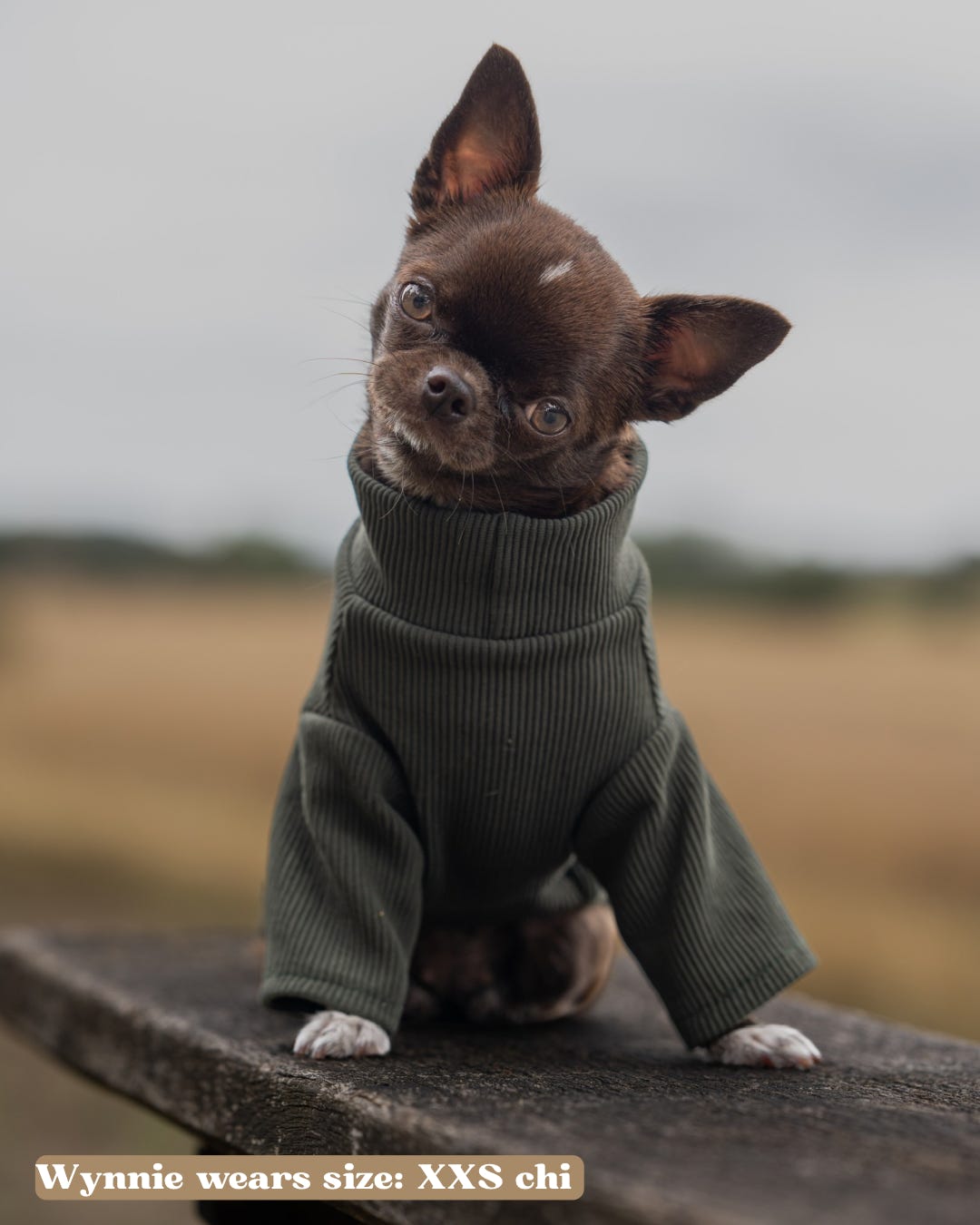 Custom Made | Jersey Rib | Two Legged - Forrest