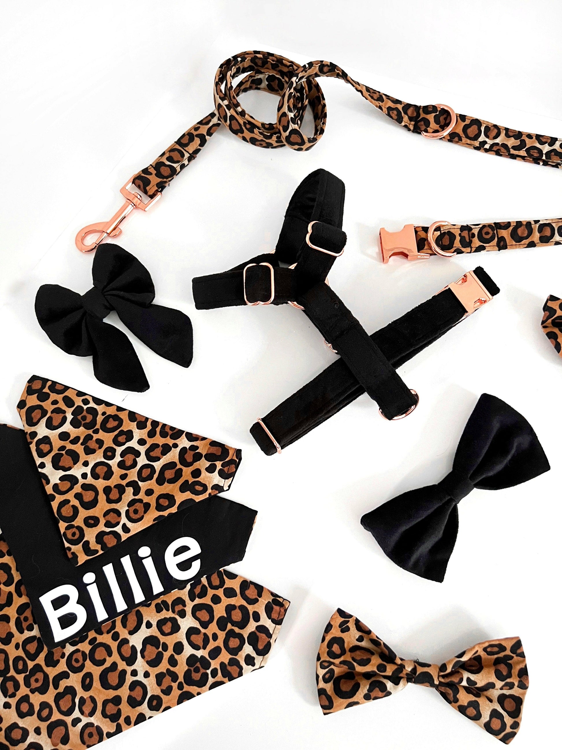 Black velvet dog harness and ober the collar bows