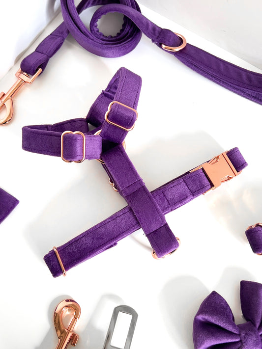 Purple velvet and rose gold strap dog harness