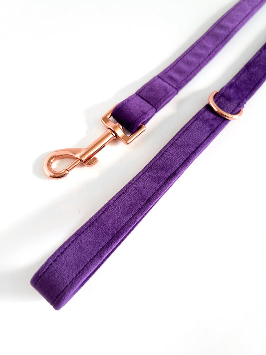 Purple and rose gold dog lead