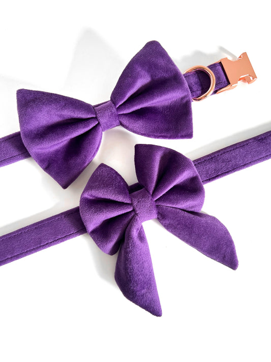 Purple velvet collar bowtie and sailor bow