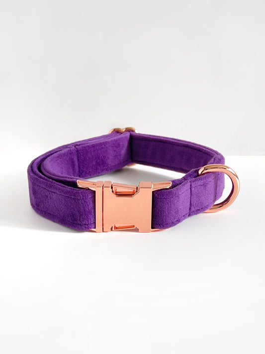 Luxury purple velvet dog collar