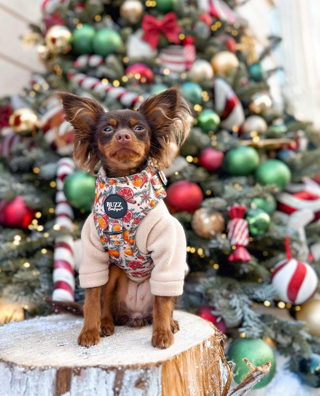 Dog wearing nude beige two legged fleece