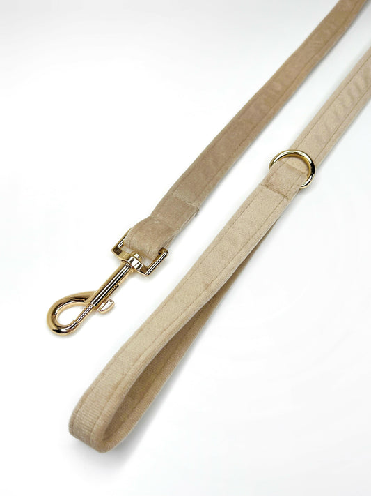 Light beige and gold soft velvet dog lead