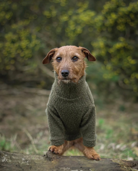 Terrier wearing dusky green two legged teddy borg fleece