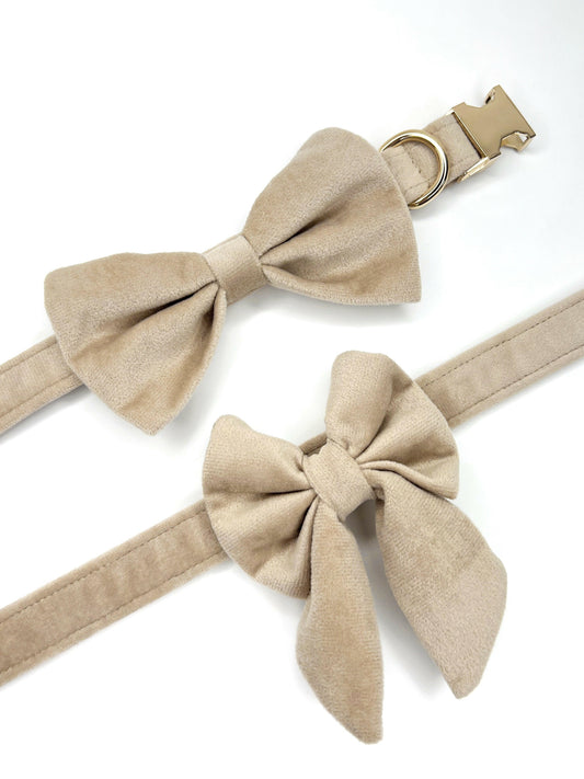 Bow tie and sailor bow