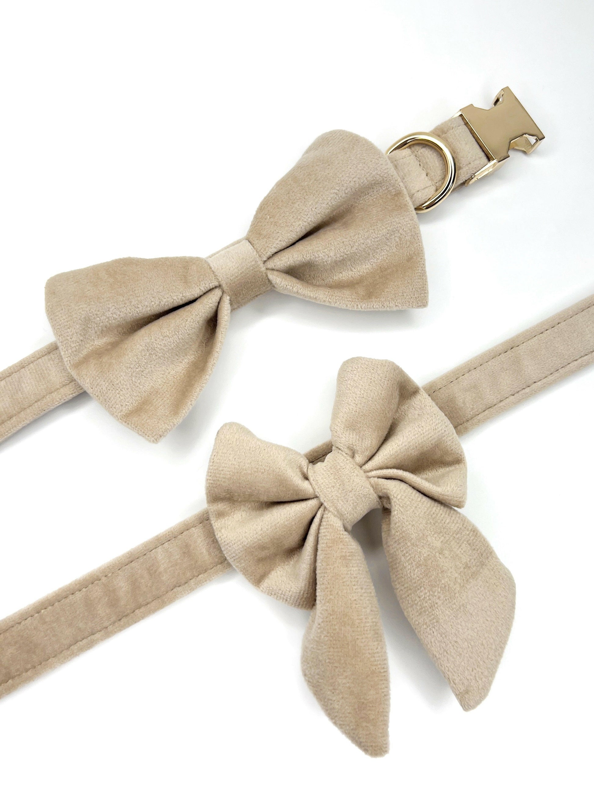 Beige velvet dog collar and matching bows
