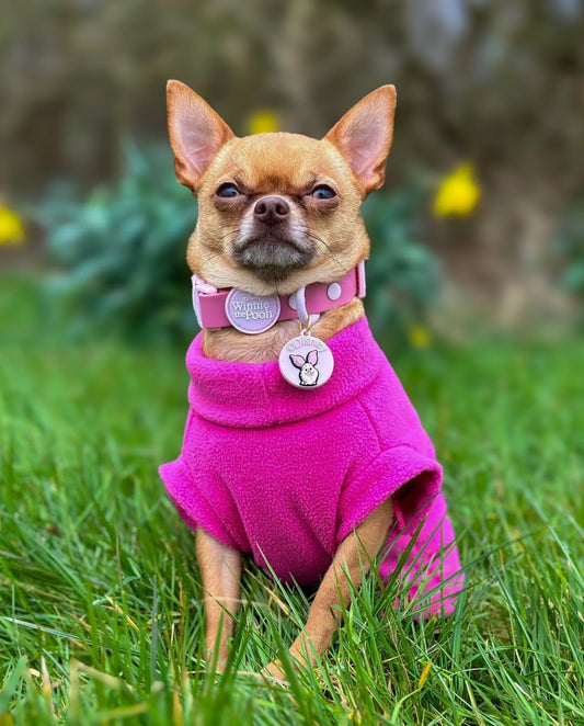 Chihuahua wearing bright pink sleeveless dog fleece