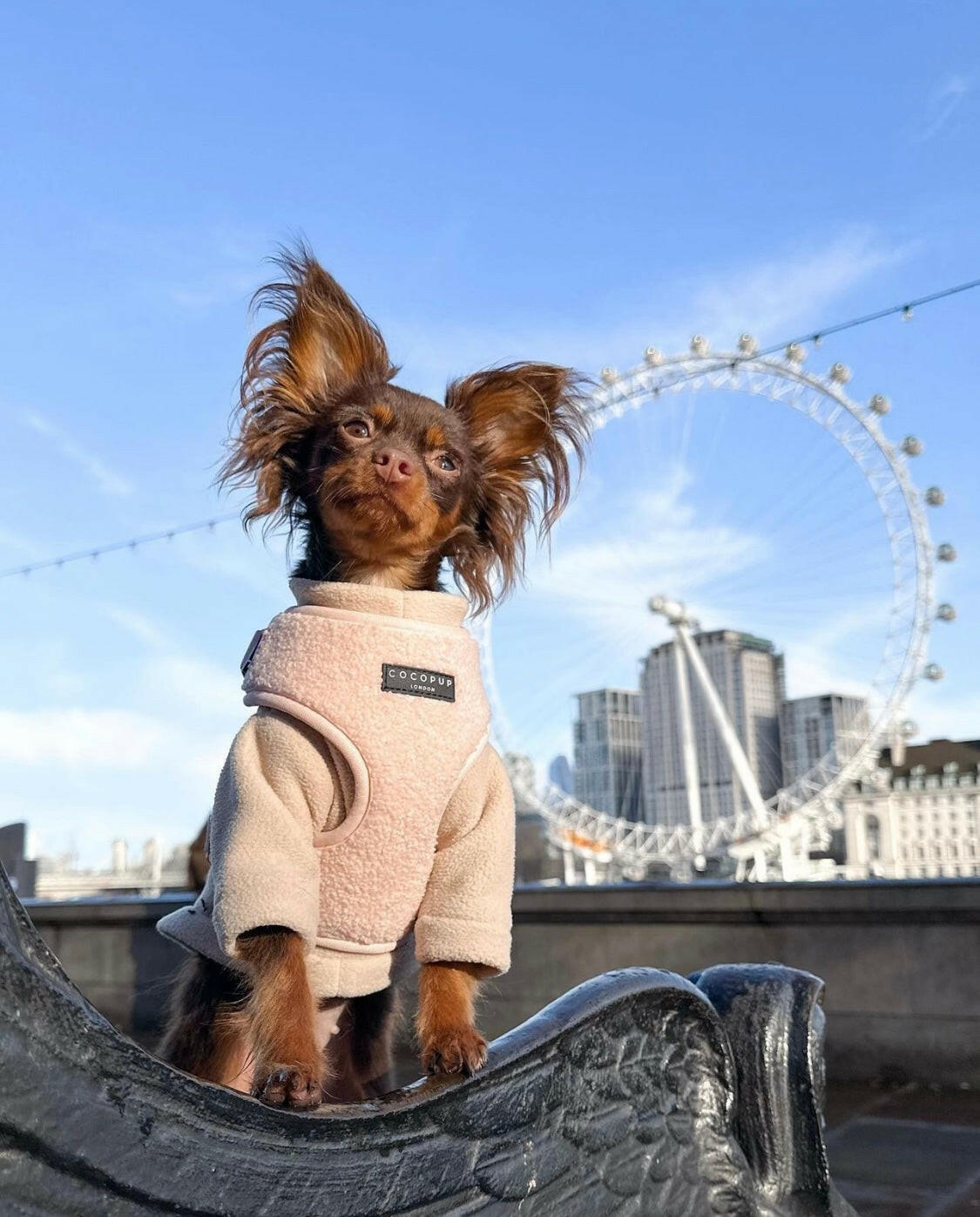 Dog wearing cream two legged fleece