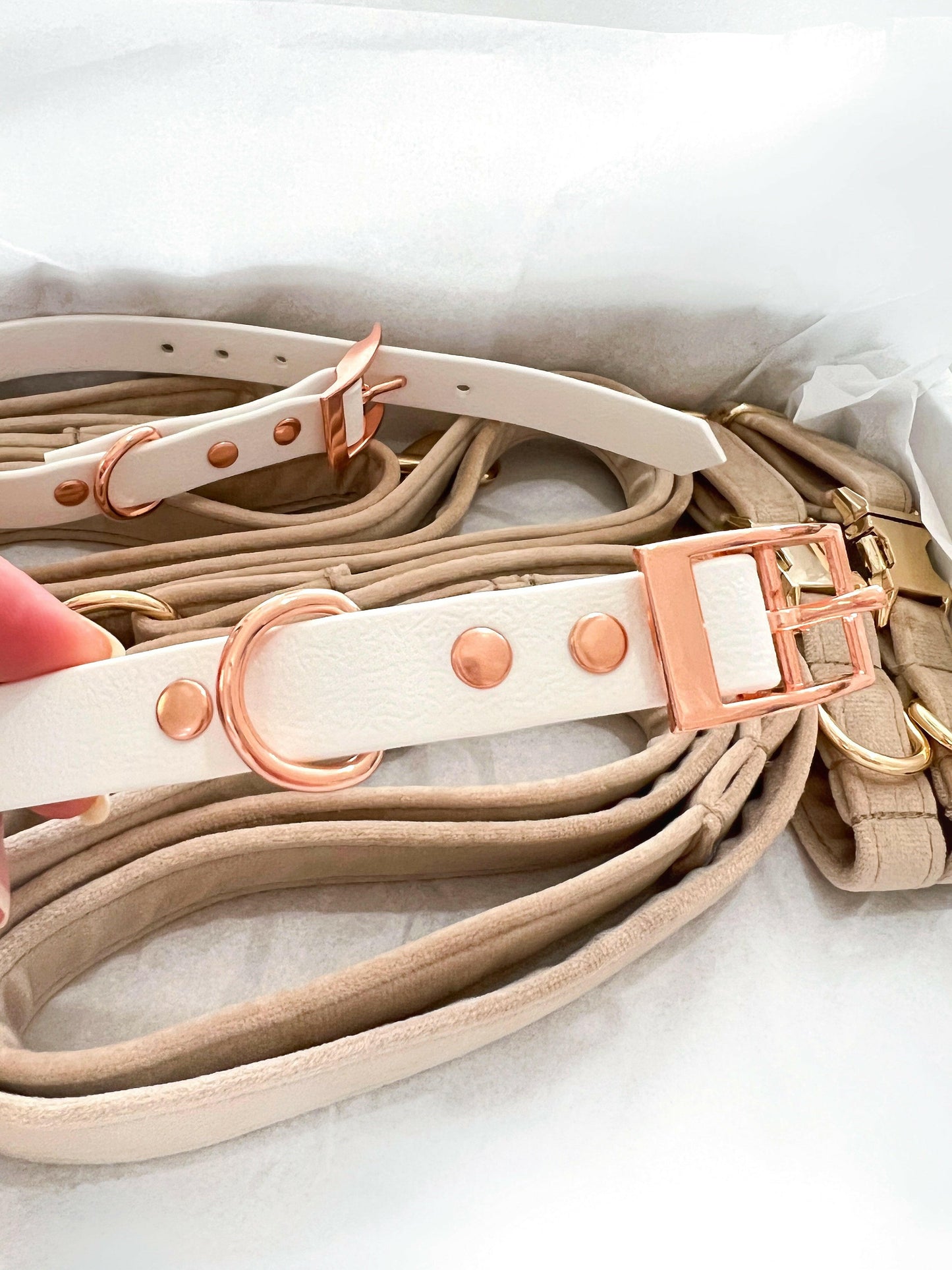 White and rose gold waterproof dog collar with velvet leads
