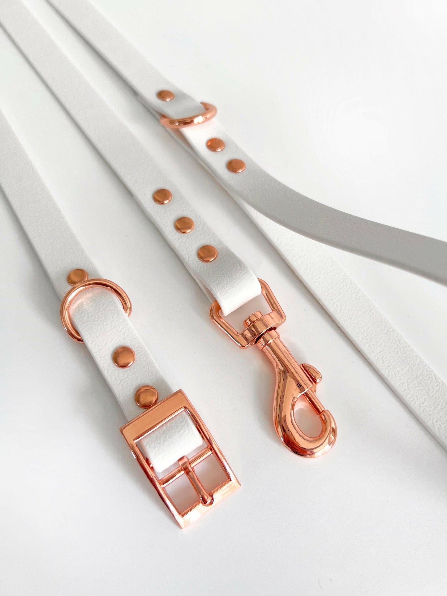 Matching white waterproof dog collar and lead